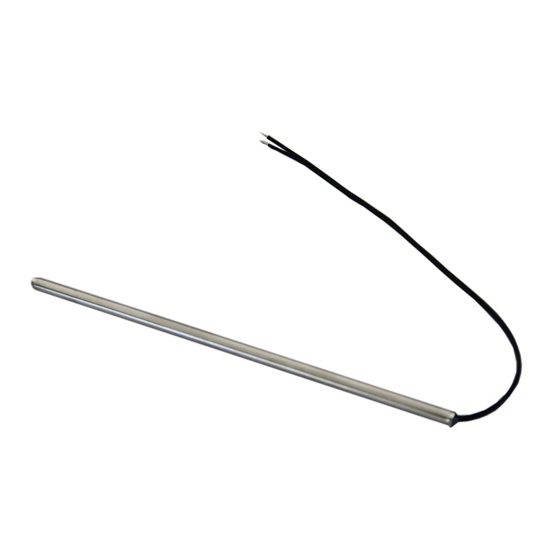 Platinum Temperature Sensor
