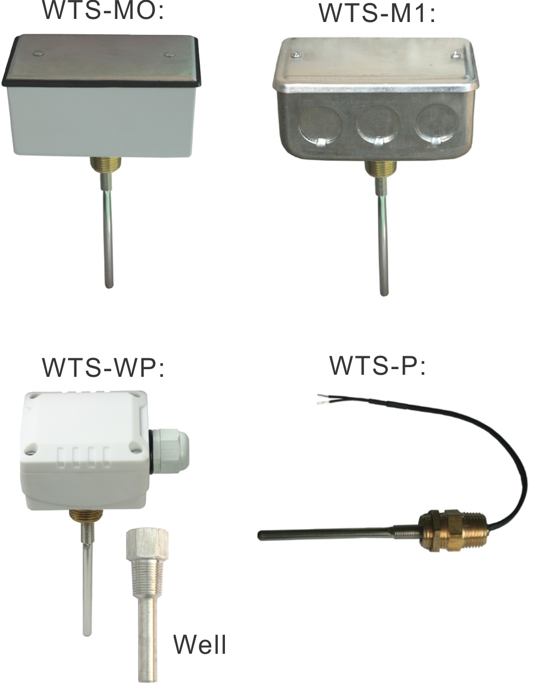 WTS Series Water Temperature Sensor